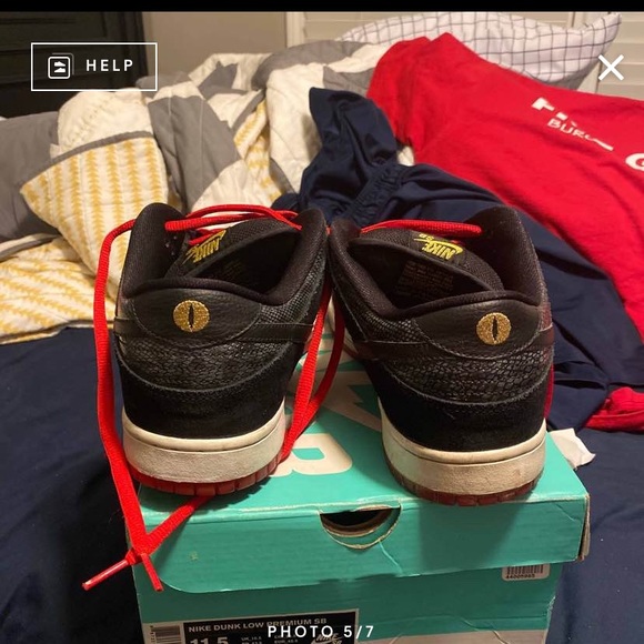 Dunk low - Picture 5 of 7